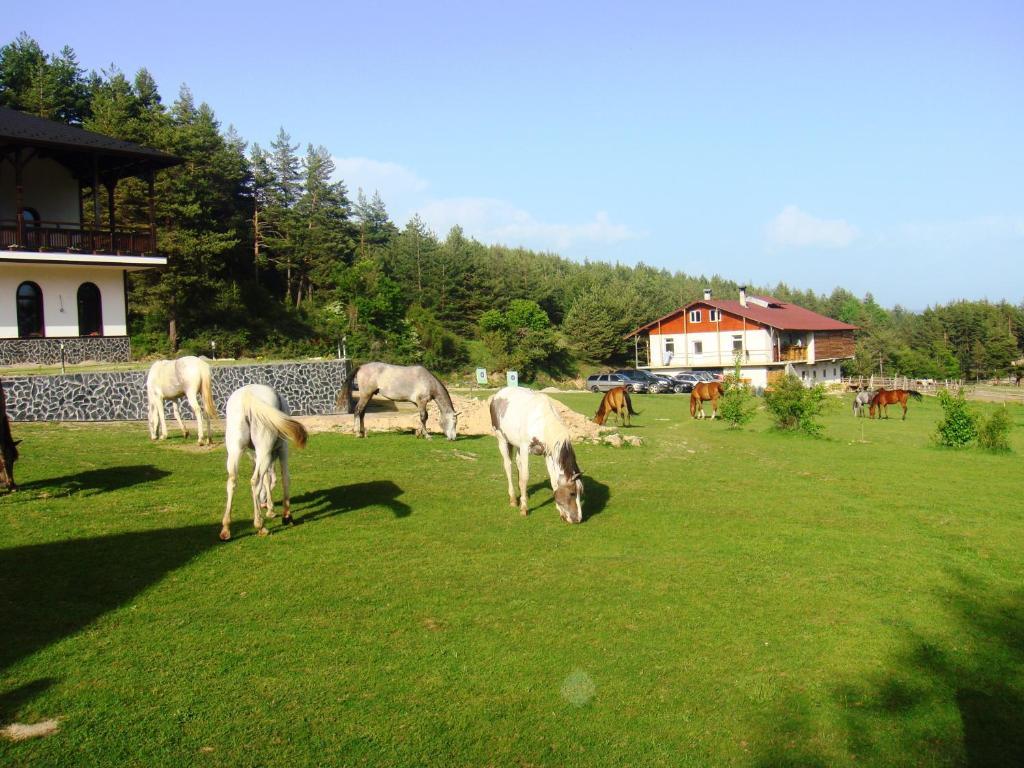 Rusaliite Adventure House Бачево Экстерьер фото