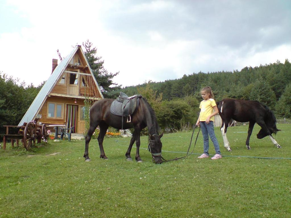 Rusaliite Adventure House Бачево Экстерьер фото