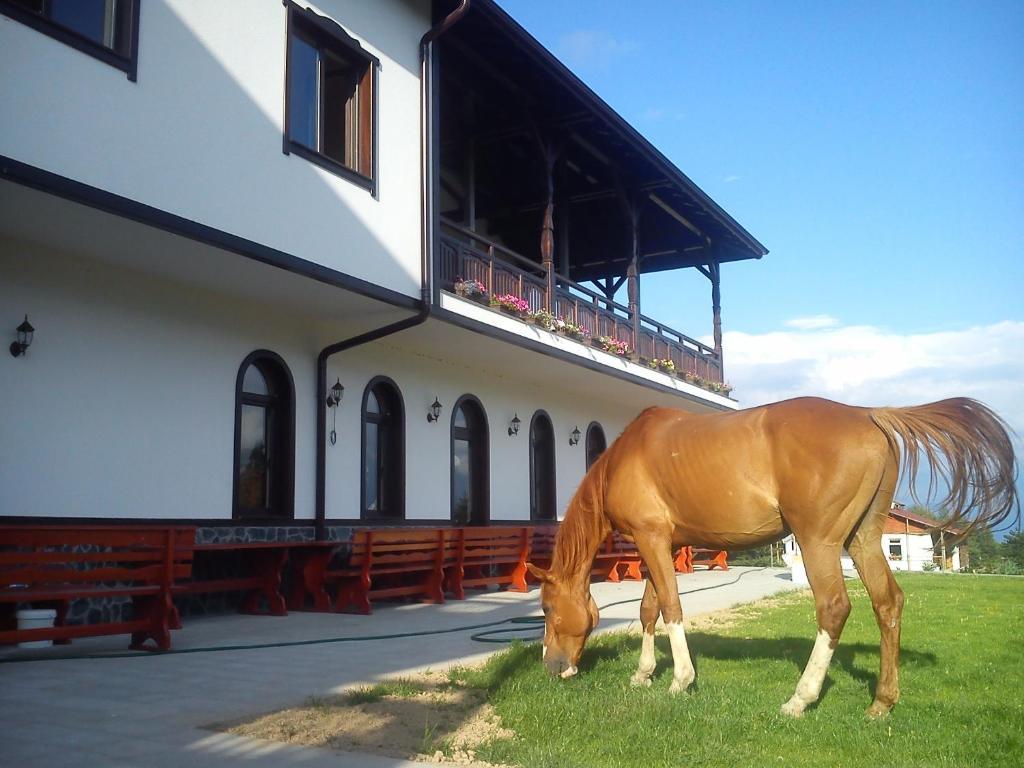 Rusaliite Adventure House Бачево Экстерьер фото